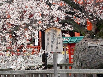 ƽ����-ӣ����Ը_���������ǵ��ձ���ӣ��-���ϵľ���_��;������