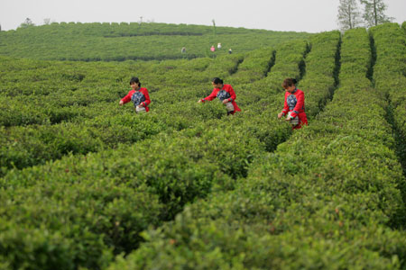 �������еļ���