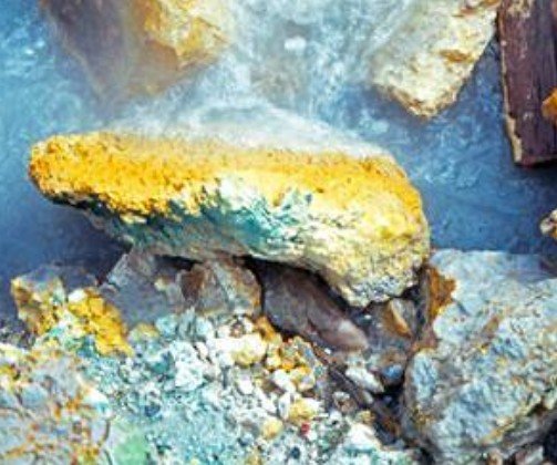 ��ʯ��԰��Ȫ���֡��������