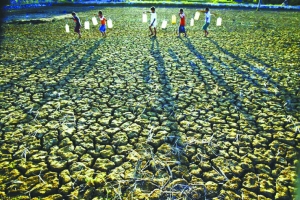 ��עˮ��Դ ���������(��ͼ)