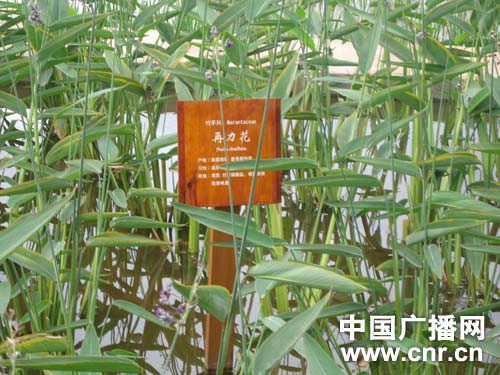 �����ˮ�۳�Ч���������ʪ������������