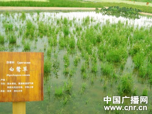 �����ˮ�۳�Ч���������ʪ������������