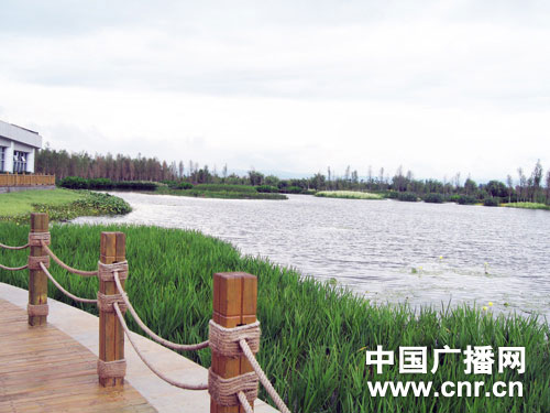 �����ˮ�۳�Ч���������ʪ������������