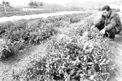 �ൺ�����ɺ���ɽ��Ķ��԰��ή