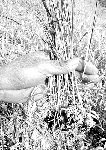 ���Ϻ�������ɿ�����