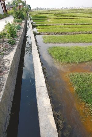 麒麟区灌区水利