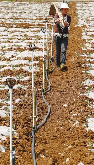 陆良县节水农业