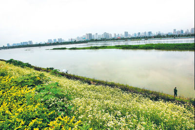 同饮湘江水共治母亲河