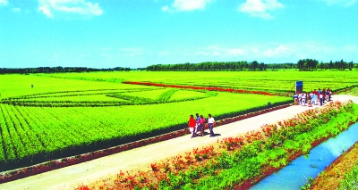 ���и�Ч��ˮ��� �ٽ��ִ�ũҵ��չ