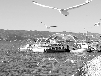 ������,ÿ������,��ңԶ����ǰ��Խ���Ĵ�������Ÿ�ڵ������������