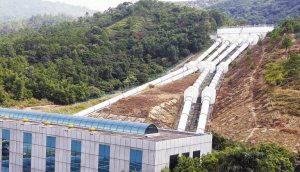 ������վ��