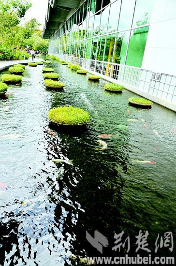 ͼΪ������������ˮ�г��Ρ������� ���� �����¼��£�