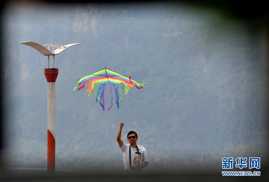 ���ϵ��ˮ��ֲ��������������𲽻ָ�