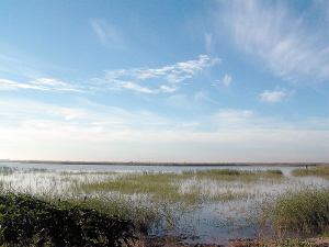 ���ﺣ������̬�޸���Ŀ������ ��Ͷ��5��Ԫ