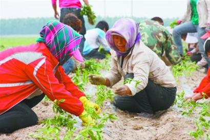 С��θı�ũҵ��չ����̬