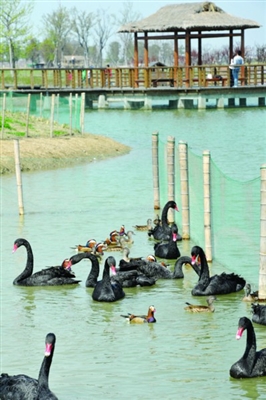 ������̬�� ���ͳ���֮��������