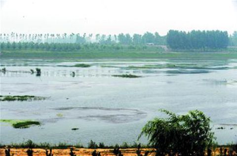 �����,ƽ��,����,����