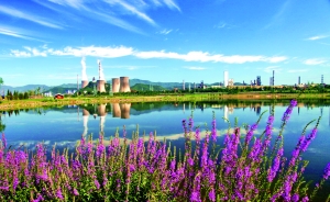 ������/��